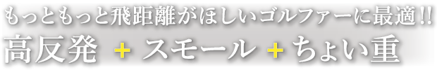 もっともっと飛距離がほしいゴルファーに最適!!
高反発＋スモール＋ちょい重